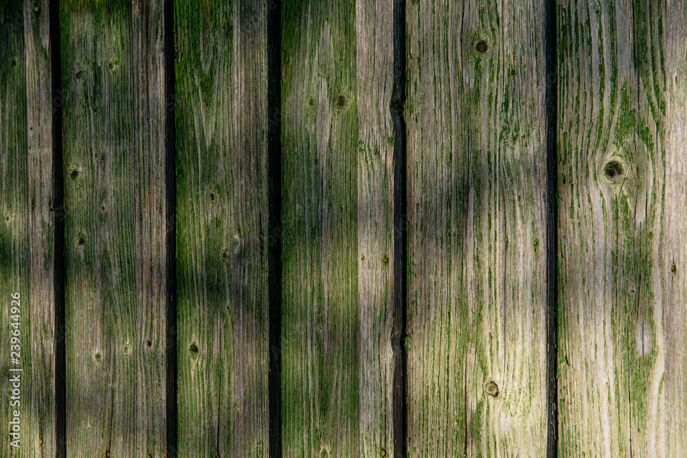 Fototapeta premium old green plank wall