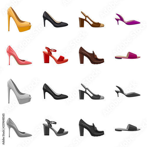 Vector illustration of footwear and woman sign. Set of footwear and foot vector icon for stock.