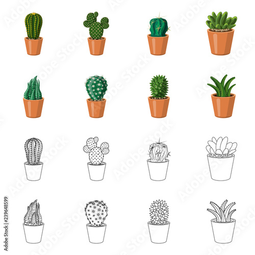 Vector illustration of cactus and pot symbol. Collection of cactus and cacti stock vector illustration.