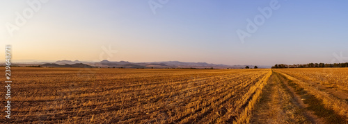 Harvested field in the evening sunlight with a path and a panoramic view of a landscape with mountains of Ceske Stredohori (Central Bohemian Highlands) in the Czech Republic