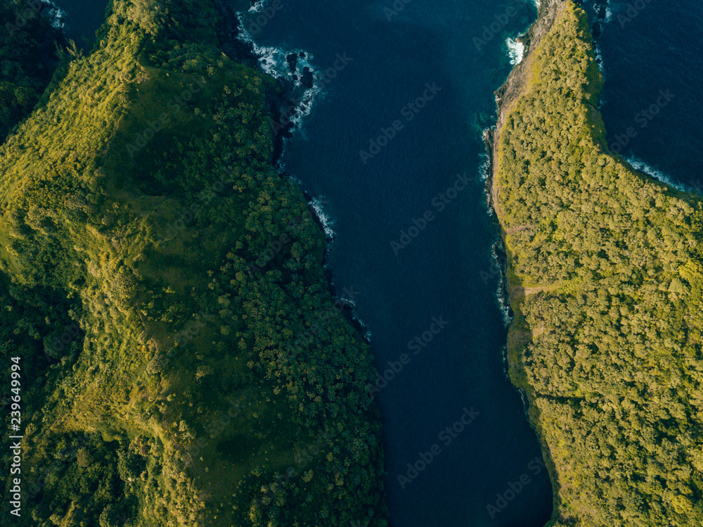 aerial top shot of the coast of hawaii