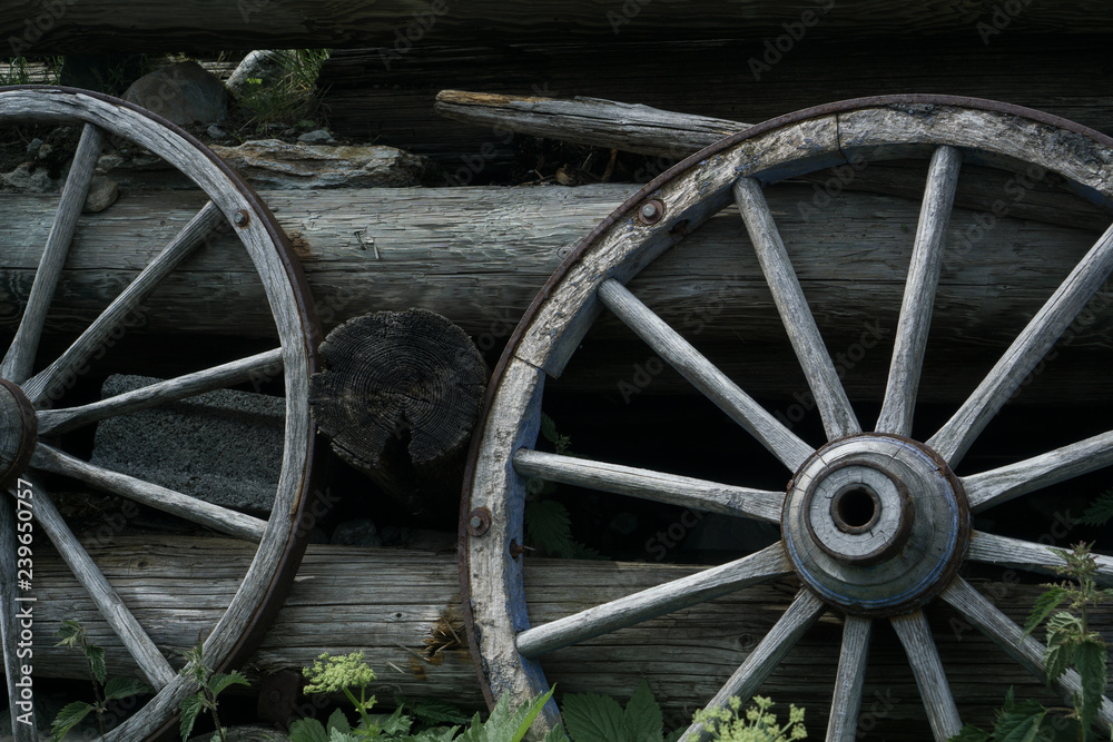 wheel of old wooden wagon