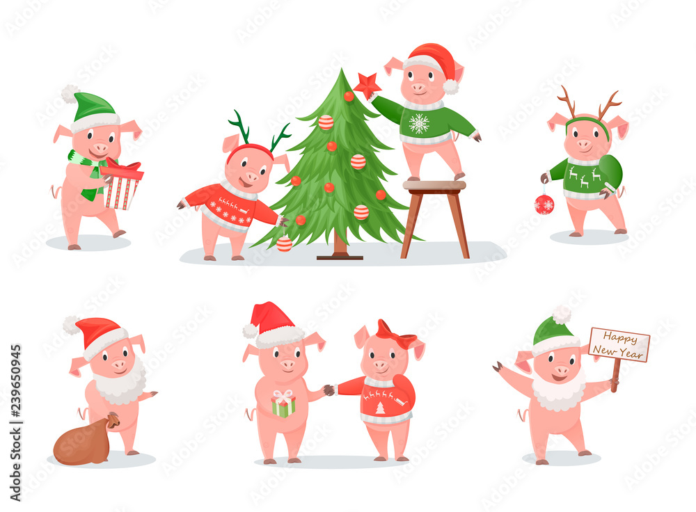 Pigs, Zodiac Symbol of New Year 2019, Christmas
