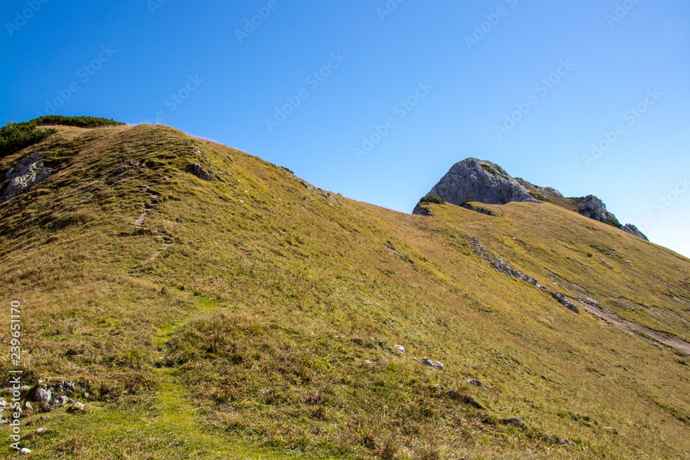 mountain trail through grass