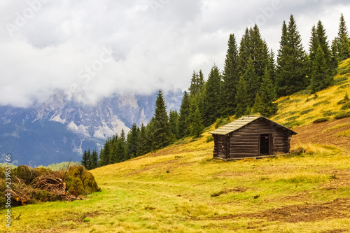 Old wooden shed on a meadow on a hillside with felled trees lying nearby, a forest, mountains and clouds in the background