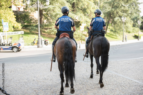 Horse Mounted Policemen guarding the streets of the city. The policemen are seen wearing uniform and riding horses. On the background, city buildings are seen.