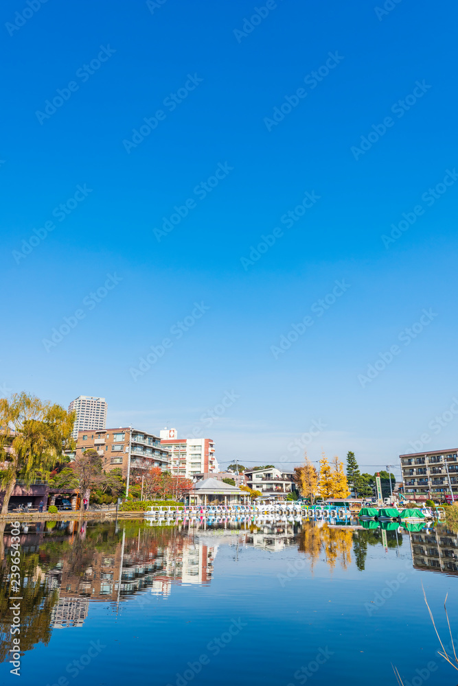 秋の石神井公園　Fall of Shakujii Park