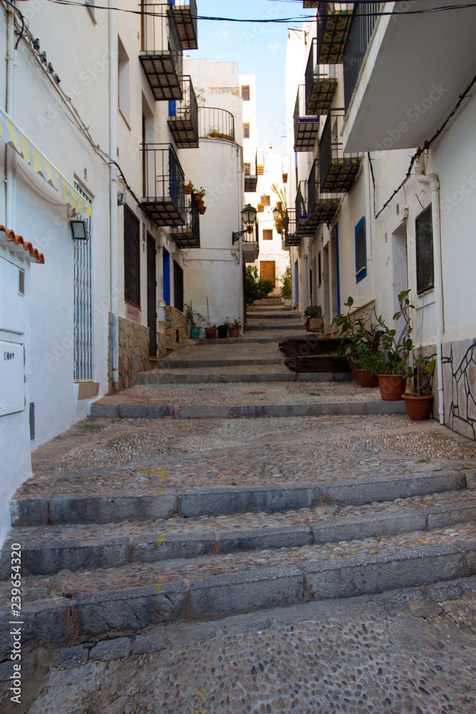 Typical town with its houses and streets