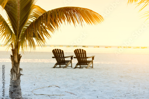 Fototapeta Naklejka Na Ścianę i Meble -  Gentle morning on the beach of the Atlantic Ocean. Palm branches over beach loungers. Florida. USA.
