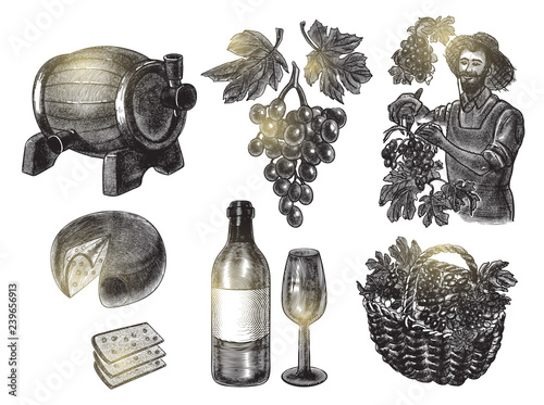 Harvest grapes set with basket, farmer, bottle of wine and glass, cheese and barrel, grape branch with leaves . Hand drawn illustration. Vector illustration in engraving style.