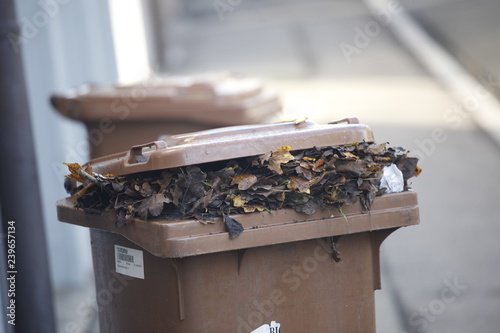 Biotonne mit Herbstlaub und organischer Abfall aus Garten und Küche photo