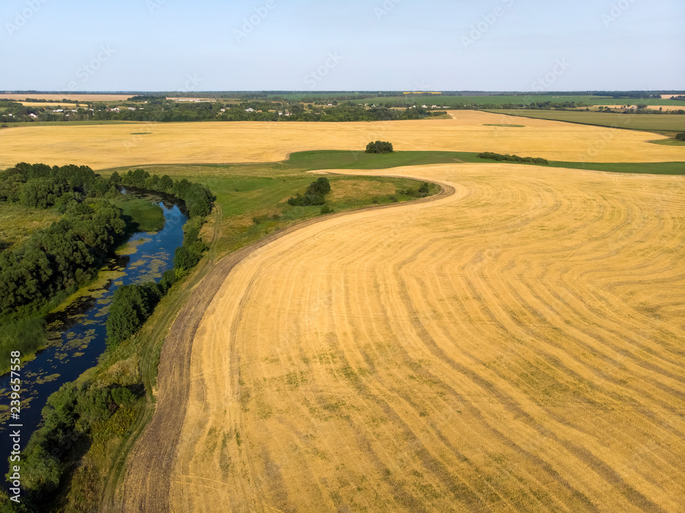 Natural landscape of central Russia with field, river in August