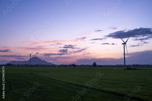 Wind turbine farm or windmill on golden sunset sky in summer day. High-quality stock photo image of wind turbine or windmill for clean energy concept. Energy Production with clean and Renewable Energy
