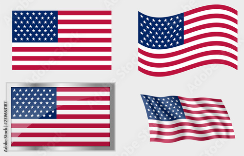 Flag of The US 49 Stars