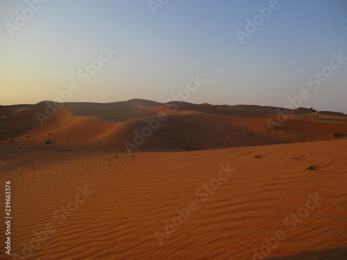 Desert Golden Sand Landscape © TajdarShah