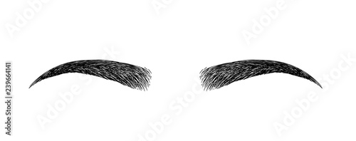 eyebrow perfectly shaped. permanent make-up and tattooing. Cosmetic for eyebrows.