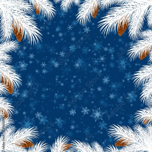 Frame with branches of spruce.