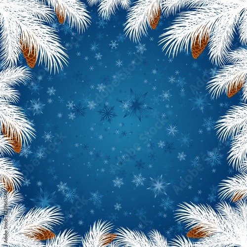 Frame with branches of spruce.