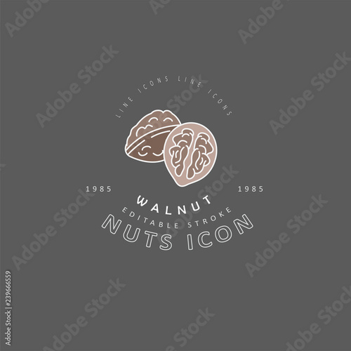 Vector icon and logo for nuts and seeds. Editable outline stroke size. Line flat contour, thin and linear design. Simple icons. Concept illustration. Sign, symbol, element.