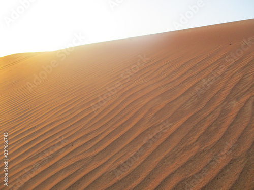 Desert Golden Sand Landscape