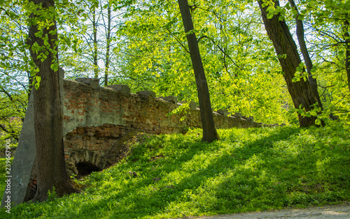 remains of the defensive wall  Tarnobrzeg  Poland