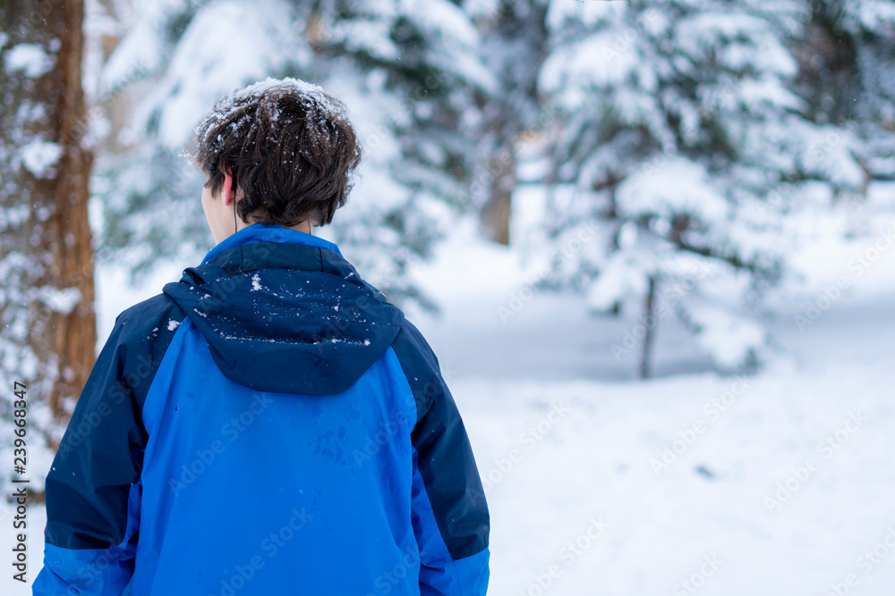 young portrait of male teenager walking in the winter snowy forest f young portrait of male teenager walking in the winter snowy forest f