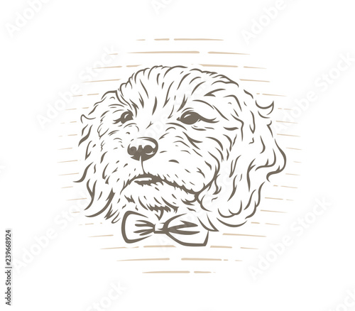 Cute cockapoo dog puppy with bow-tie vector illustration on white background.