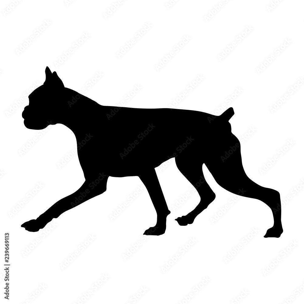 Silhouette of a Boxer breed dog