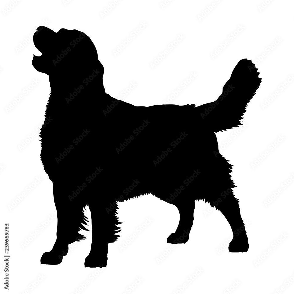 Golden Retriever, Silhouette Векторный объект Stock | Adobe Stock