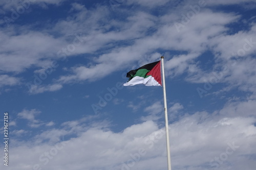 Jordanian flag in the wind