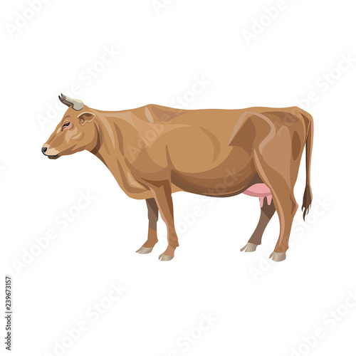 Red cow vector