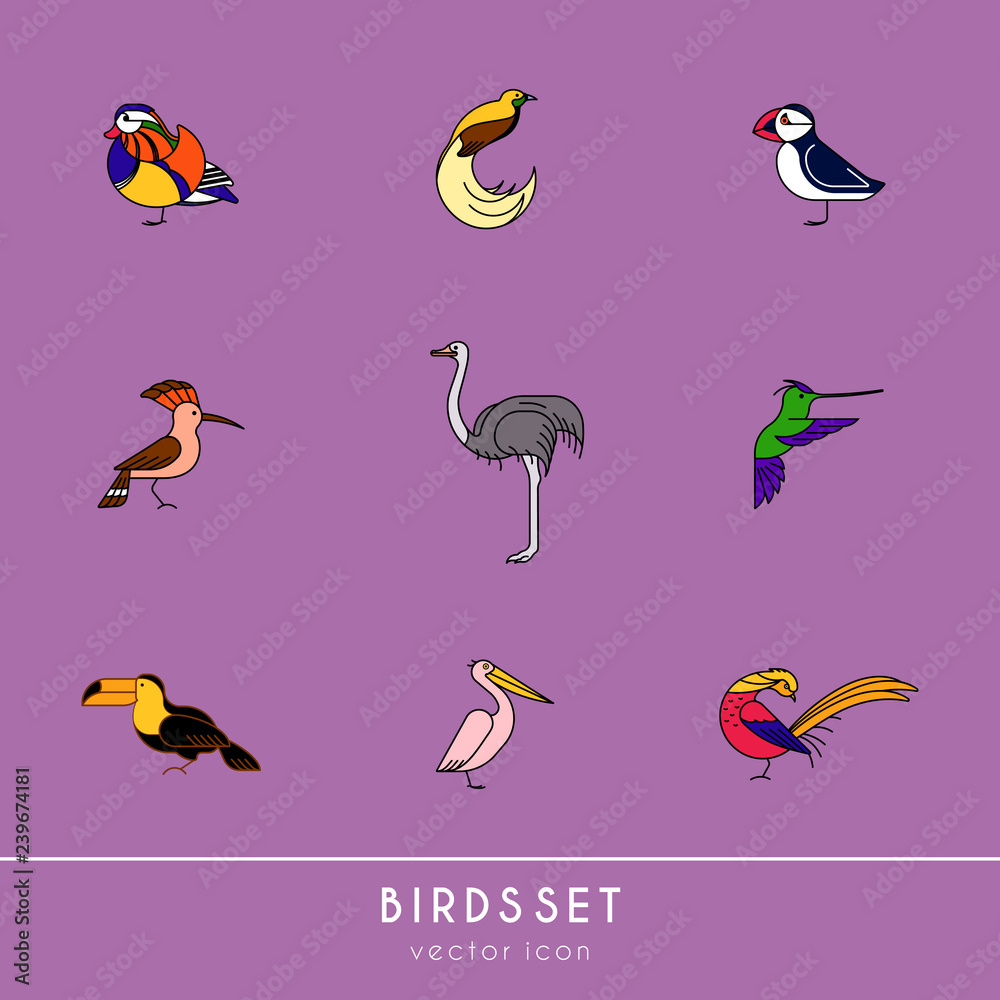 Obraz premium Birds are different species