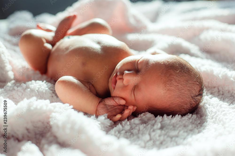 Newborn baby sleeping on white background in backlight Newborn baby sleeping on white background in backlight