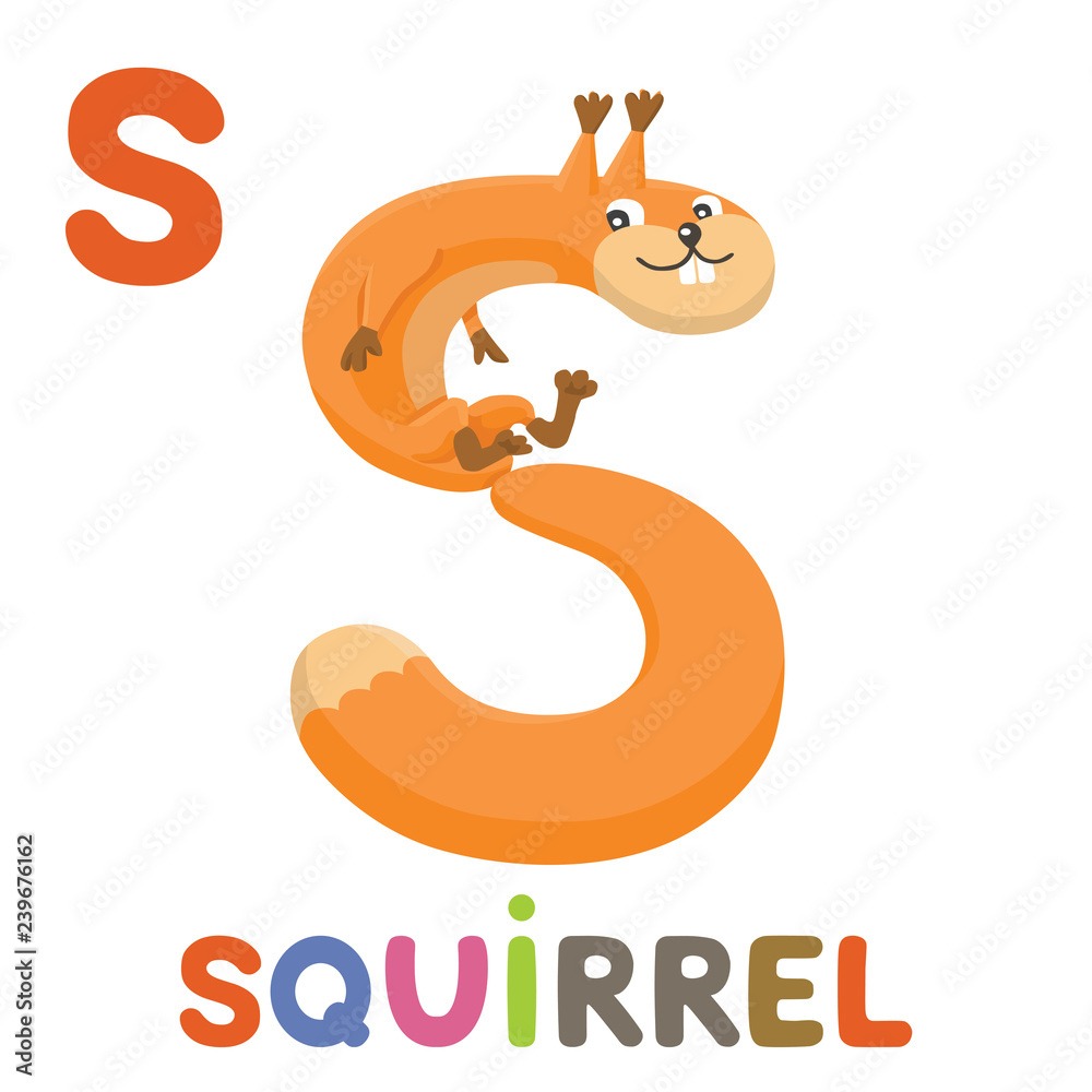 S is for Squirrel. Letter S. Squirrel., cute illustration. Animal alphabet.  Stock Vector | Adobe Stock