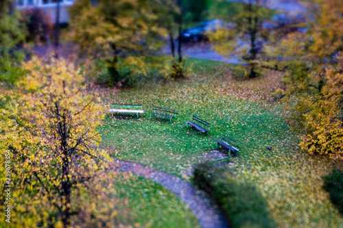 countryside yard with trees and green foliage in summer