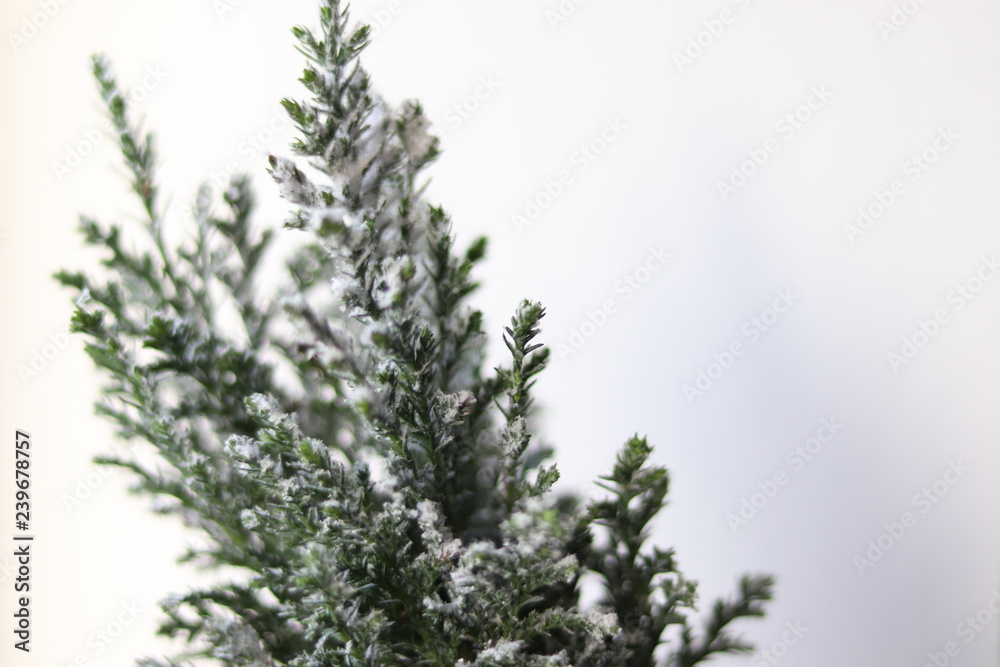 Mini Christmas Tree Snow Branches Mini Christmas Tree Snow Branches