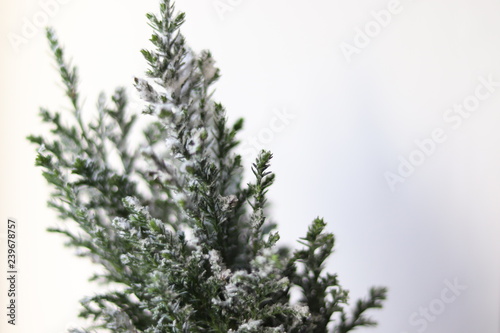 Mini Christmas Tree Snow Branches