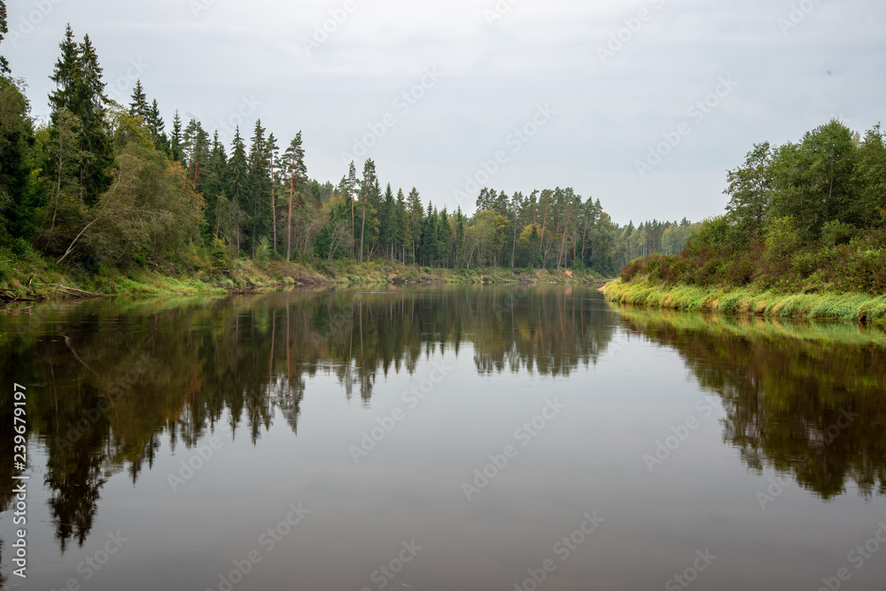 blue sky, clouds and trees from forest reflecting in calm lake water