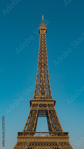 eiffel tower in paris © João Mateus