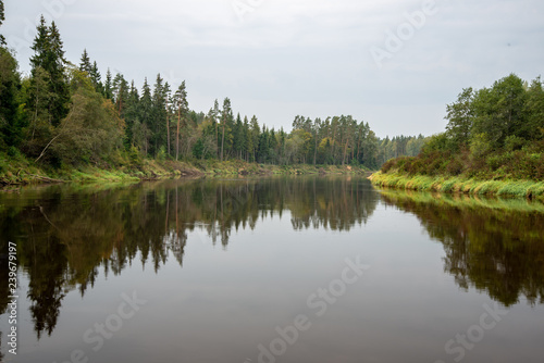 blue sky  clouds and trees from forest reflecting in calm lake water