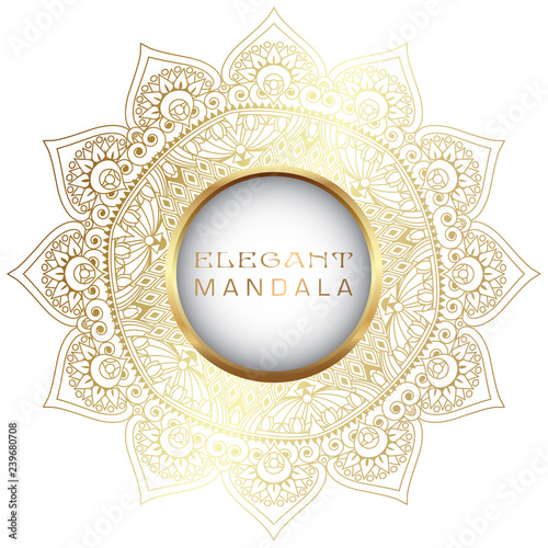 Vector round circle. Mandala style. Decorative element with gold.
