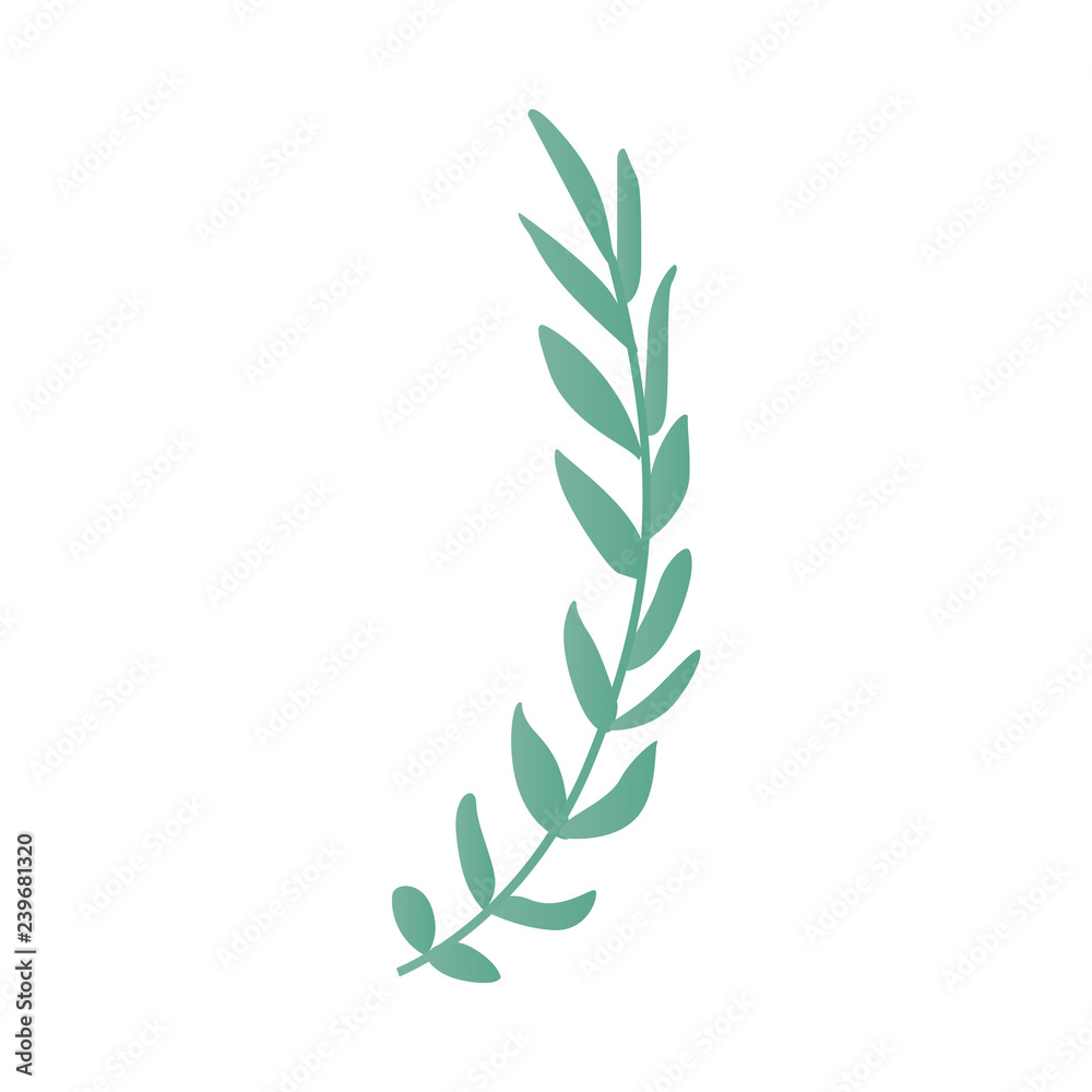 Vector abstract green bush branch, tree with wide foliage, symbol of nature, ecology and organic products. Forest or garden plant with summer leaves. Isolated cartoon illustration Vector abstract green bush branch, tree with wide foliage, symbol of nature, ecology and organic products. Forest or garden plant with summer leaves. Isolated cartoon illustration