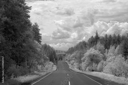 View of the asphalt road descends between forests