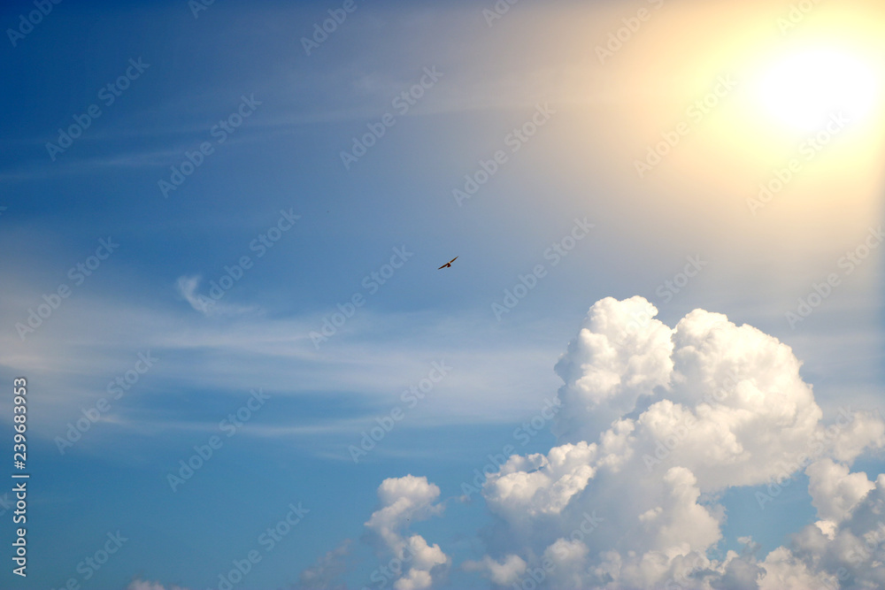 The blue sky and large white clouds with sunlight are passing through and birds are flying through.