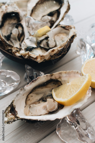 Delicious oysters with lemon, seafood delicacy	