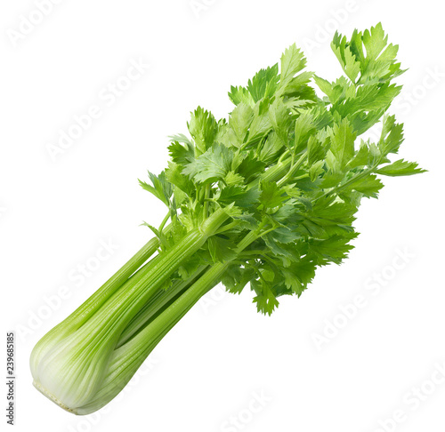 Tableau sur toile Green celery isolated on white background