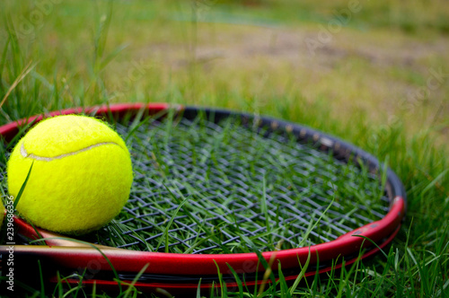 yellow tennis ball with tennis racquet on the green grass