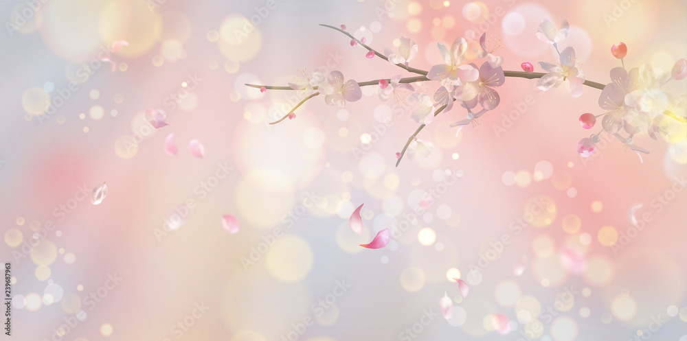 Spring Blossom Background