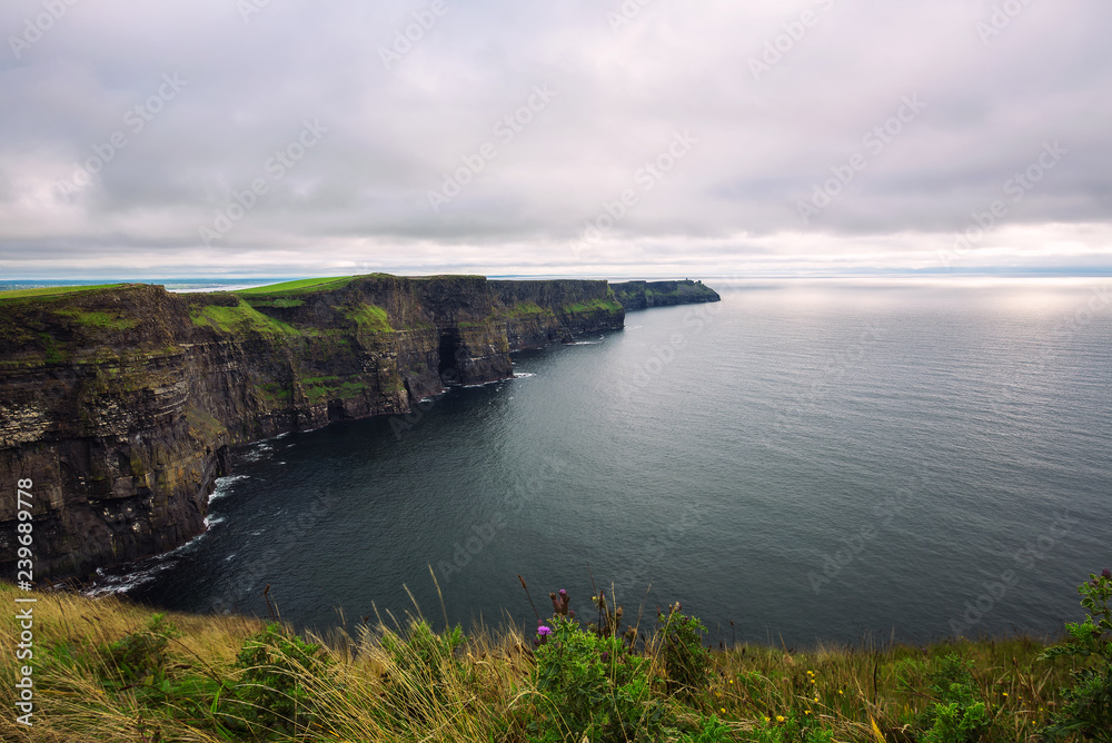 Panoramic view of the scenic Cliffs of Moher in Ireland Panoramic view of the scenic Cliffs of Moher in Ireland