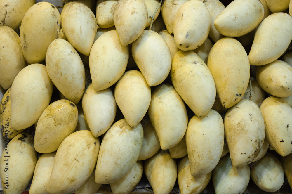 Laying out fresh ripe mango fruit in Thailand market. Laying out fresh ripe mango fruit in Thailand market.